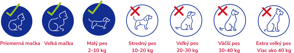 SKLI-Small-dog-large-cats